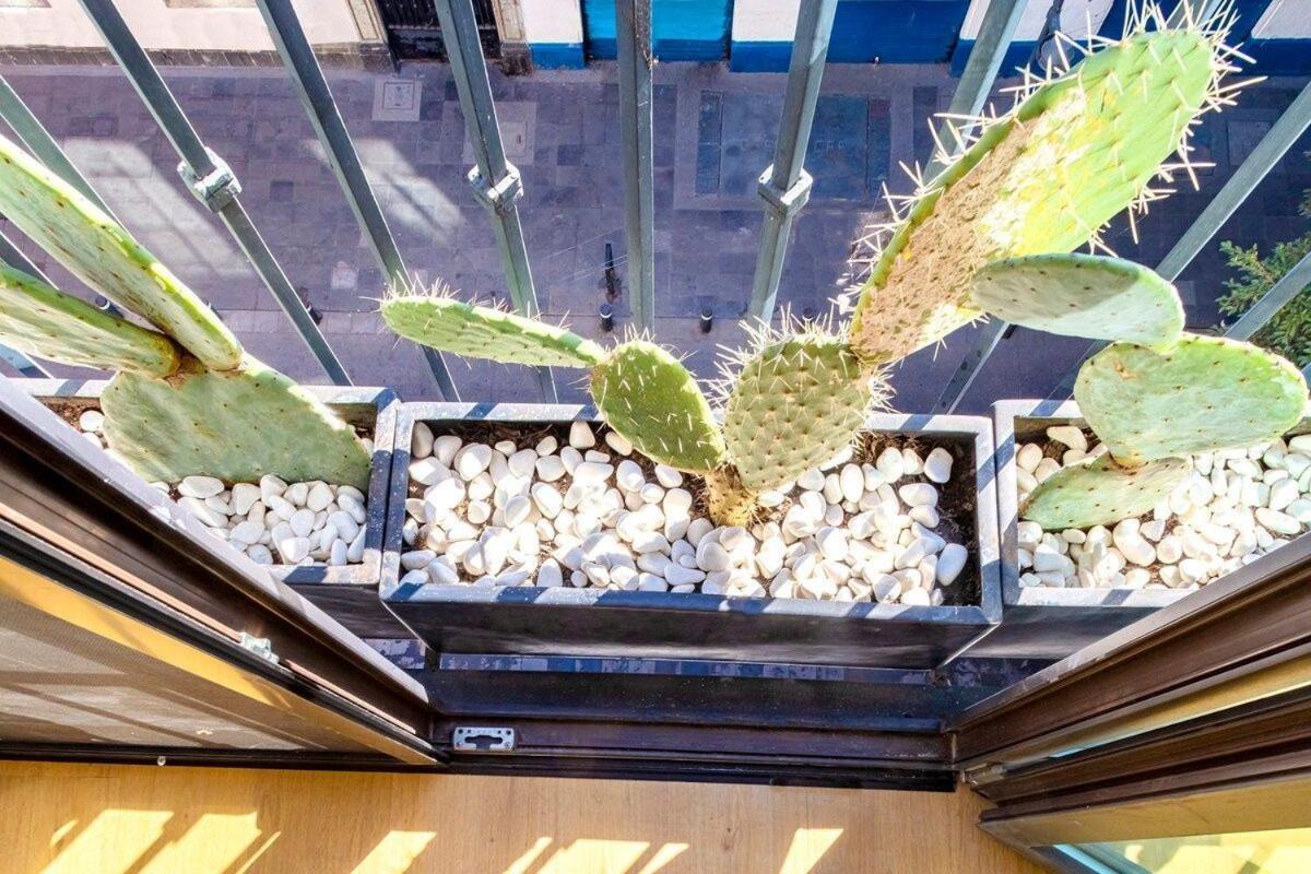Apartamento Loft Boho en el Centro Histórico. Imperdible! México DF Exterior foto